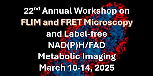 Image principale de 22nd Annual Workshop on FLIM and FRET/FLIRR (Metabolic Imaging) Microscopy