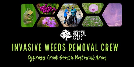 Hauptbild für Adventure Awaits - Invasive Weeds Removal  Crew at Cypress Creek South