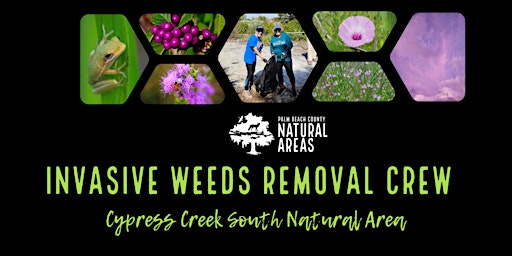 Primaire afbeelding van Adventure Awaits - Invasive Weeds Removal  Crew at Cypress Creek South