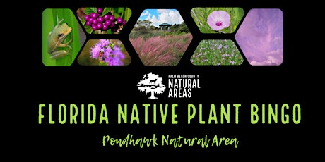 Imagem principal do evento Adventure Awaits - Florida Native Plant Bingo at Pondhawk Natural Area