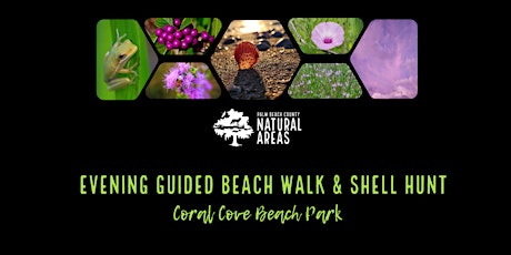 Imagem principal do evento Adventure Awaits - Evening Guided Beach Walk & Shell Hunt! (ALL AGES)