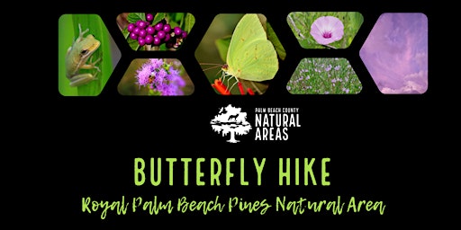 Adventure Awaits - Butterfly Hike primary image