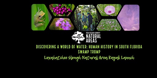 Discovering a World of Water: Human History in South Florida (Swamp Tromp!)