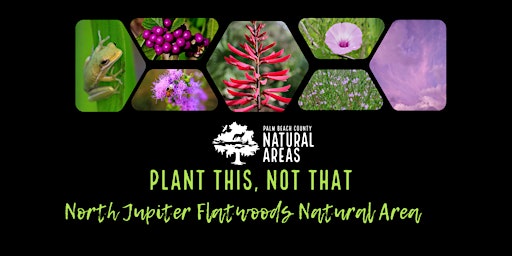 Adventure Awaits - Plant This, Not That at North Jupiter Flatwoods