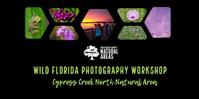 Primaire afbeelding van Adventure Awaits - Wild Florida Photography Workshop