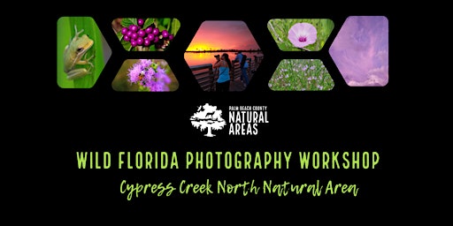 Hauptbild für Adventure Awaits - Wild Florida Photography Workshop