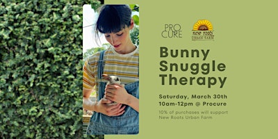 Imagem principal do evento Bunny Snuggle Therapy