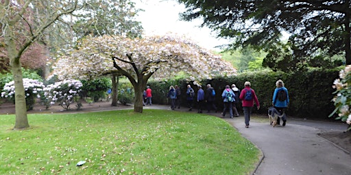 Immagine principale di Walk the Moorlands - A Peak around Leek (6km or so) 