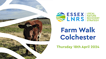 Imagem principal de Essex LNRS: Farm Walk, Colchester