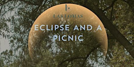 Eclipse and a Picnic