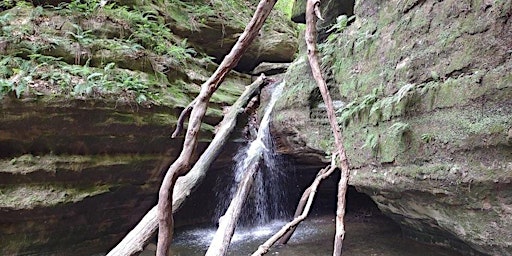 Immagine principale di 52 Hike Challenge Illinois National Trails Day Hike Starved Rock State Park 