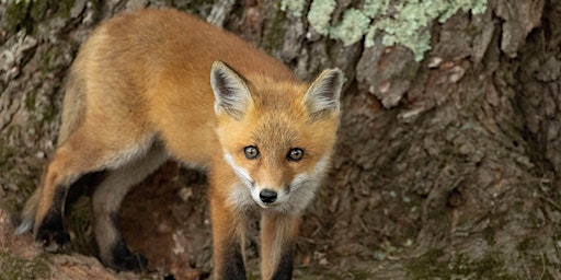 Primaire afbeelding van Biodiversity Walk