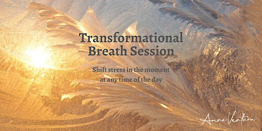 Primaire afbeelding van Online One to One Transformational Breath Session On Zoom