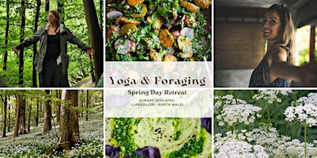 Image principale de Yoga & Foraging Spring day retreat