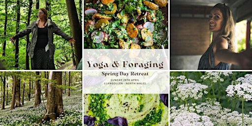 Imagem principal de Yoga & Foraging Spring day retreat