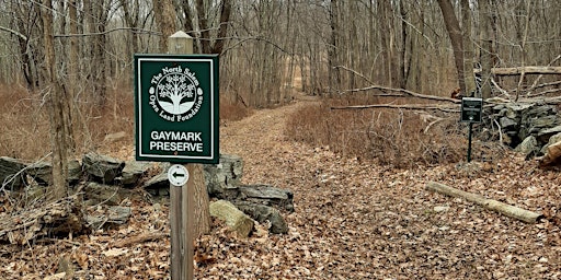 Imagem principal do evento Wetlands Walk at Gaymark Preserve