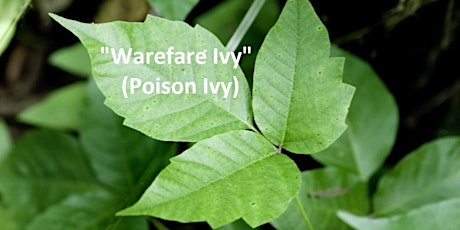 "Warefare Ivy" (AKA Poison Ivy) - Free Informational Talk primary image