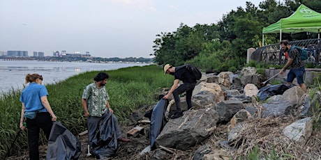 Flushing Bay Shoreline Cleanup