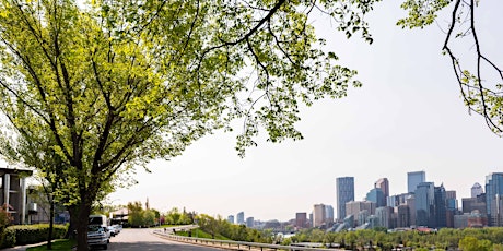 YYC Trees: Crescent Heights Tree Tour - Guided Walk