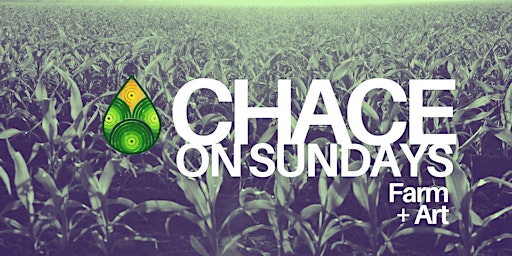 Imagem principal do evento CHACE on Sundays