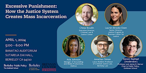 Primaire afbeelding van Excessive Punishment: How the Justice System Creates Mass Incarceration