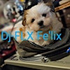 Logo di DJ-FLX (Felix)