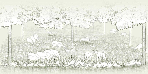Farmer Field Day: Oak Hollow Livestock (Silvopasture)  primärbild