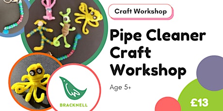 Pipecleaner crafts with Adi in Bracknell