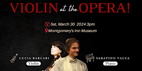 Violin at the Opera
