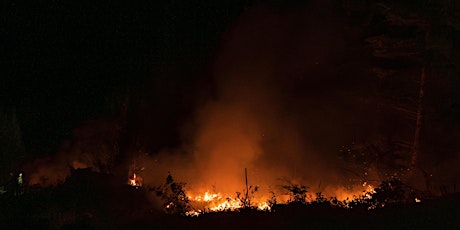 PNW Fire Ecology for Hikers, Foragers and Herbalists  primärbild