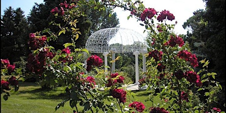 Fairmount Cemetery Heritage Rose TOUR