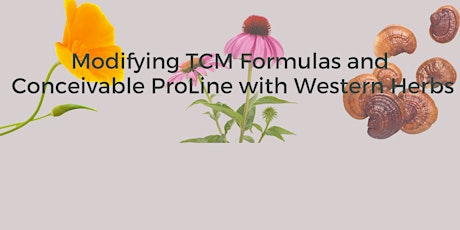 Modifying TCM Formulas and the Conceivable ProLine with Western Herbs