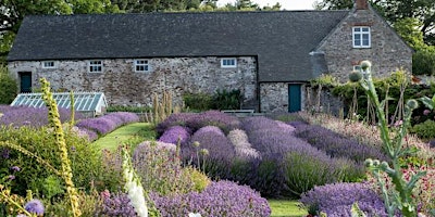 Image principale de Visit to Mothecombe Gardens