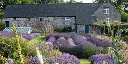 Hauptbild für Visit to Mothecombe Gardens