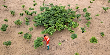 Commonwealth Collaboration on Climate Change