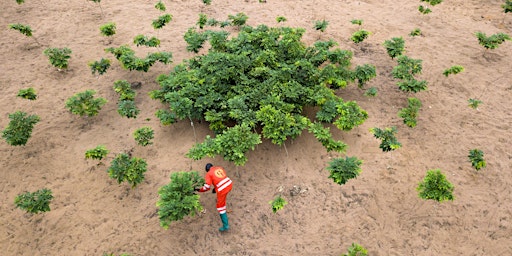 Imagen principal de Commonwealth Collaboration on Climate Change