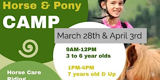 Imagem principal de SpiritHorse Spring Break Horse and Pony Camp