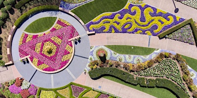 Imagen principal de Guided Tour-Spectacle Garden in Colin Campbell Place, Roma Street Parkland