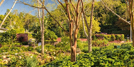 Guided Tour - 20 Years of Roma Street Parkland