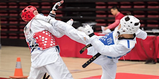 Primaire afbeelding van 2024 Stanford Taekwondo Spring Open