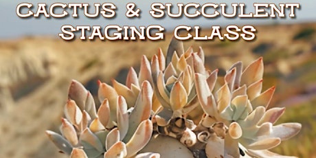 Cactus & Succulent Staging Class at Alsip Nursery