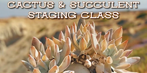 Cactus & Succulent Staging Class at Alsip Nursery primary image