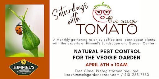 Saturdays with The Sage Tomato: Natural pest control for the veggie garden primary image