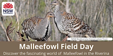 Malleefowl Field Day