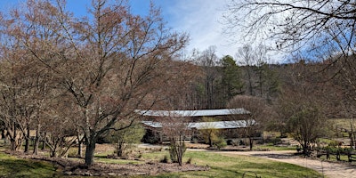 North Georgia Mountain Yoga Retreat primary image