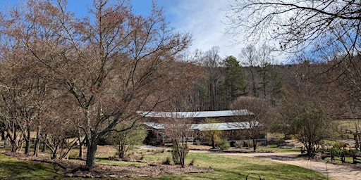 Imagem principal de North Georgia Mountain Yoga Retreat