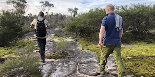 BUSHWALK FUNDRAISER - PITTWATER BUSHWALK & TRINCOMALEE LUNCH primary image