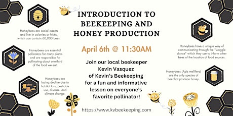 Introduction to beekeeping and honey production