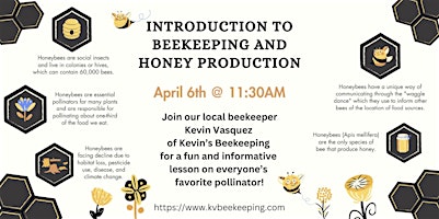 Imagen principal de Introduction to beekeeping and honey production