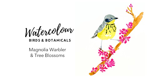 Birds & Botanicals Watercolour Class - [Warbler & Blossoms] primary image